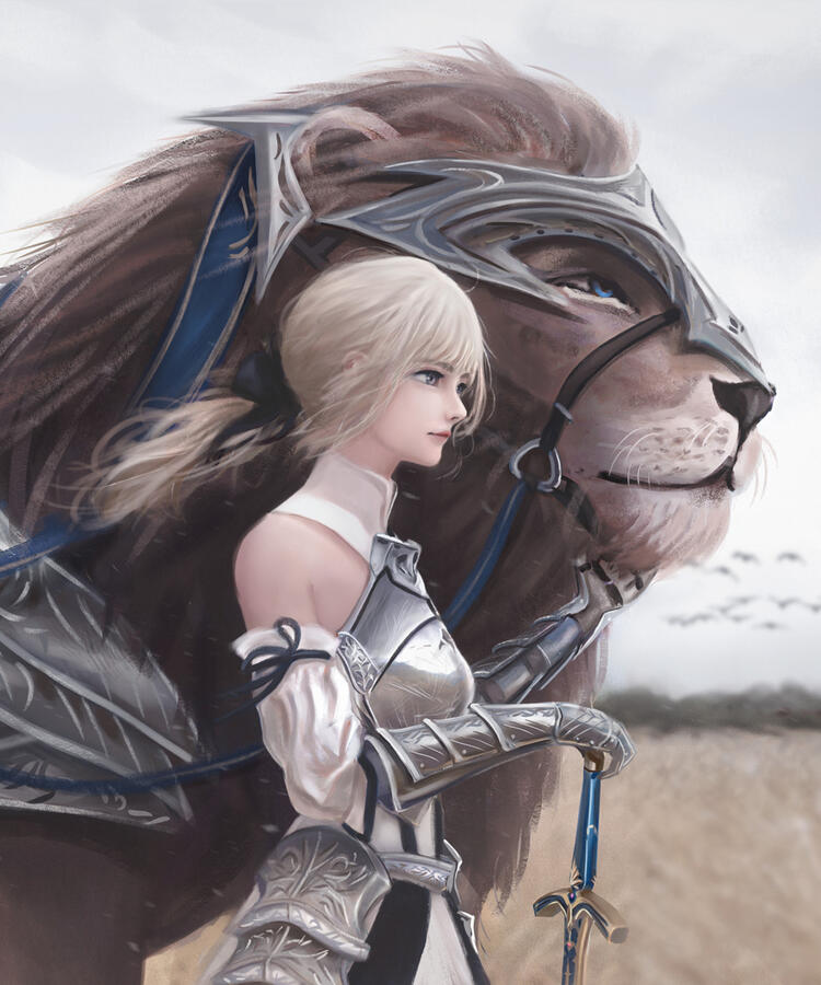 The Princess Knight